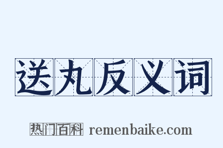 送丸反义词是什么意思的图片